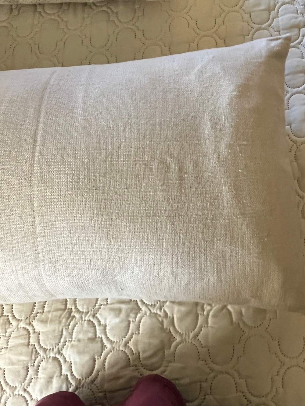 Pottery Barn Cream Accent Pillow with Black Text “Serendipity……” - Picture 6 of 12